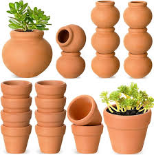 Attēlu rezultāti vaicājumam “Pottiales”