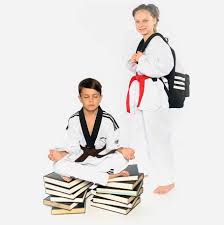 Image result for New Milton Taekwondo Club