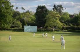 Image result for Peper Harow Cricket Club
