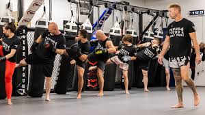 Image result for Vipers Thai/Kickboxing School