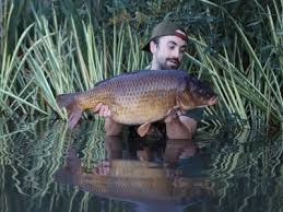 Image result for Weymouth Angling Society