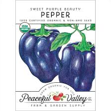 Afbeeldingsresultaat voor purple beauty sweet pepper