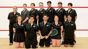 Image result for Link Ladies Badminton Club