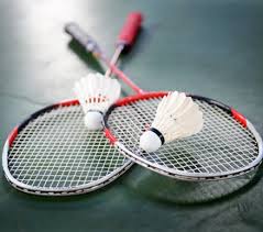 Image result for Dartford Badminton Club