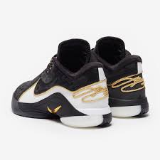 Image result for lebron james shoes