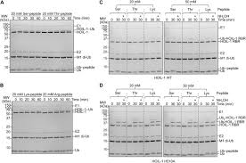 Image result for    ^   u   b N