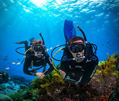 Image result for Great Western Divers