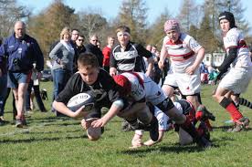 Image result for Bromsgrove Rugby Football Club