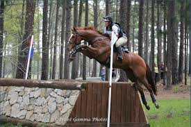 Image result for Kings Ranch Riding School/Club