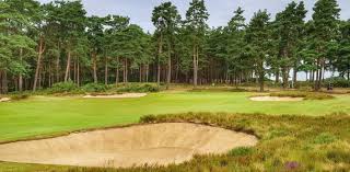 Image result for Hankley Common Golf Club