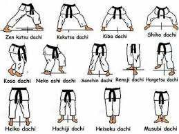Image result for Karate Wado Kai