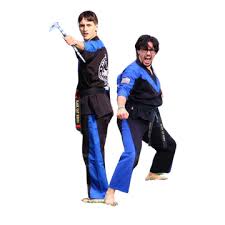 Image result for Alleyn School Of Japanese Karate