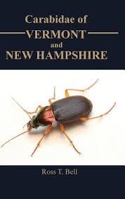 Attēlu rezultāti vaicājumam “Carabidae”