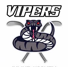 Image result for Glasgow Vipers Roller Hockey Club