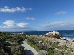 Attēlu rezultāti vaicājumam “Leporida”