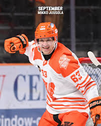 Image result for Sheffield Steelers