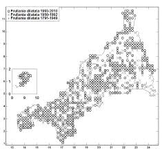 Attēlu rezultāti vaicājumam “Frullania fragilifolia macro”