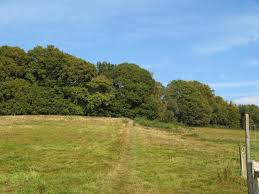 Greensand way near Willinghurst Farm © Frazer Crump cc-by-sa/2.0 ... - 2606680_8487ff66