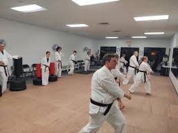 Image result for Su-Ha-Ri-Wado Karate School