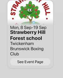 Image result for Twickenham Brunswick