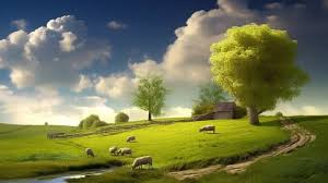 Image result for free wallpaper