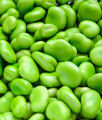 Image result for Dicke Bohnen