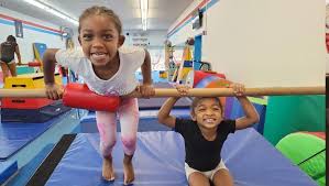 Image result for Aerodyne Gymnastics Club