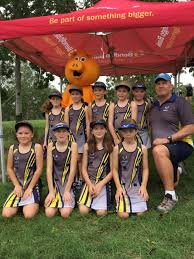 Image result for Hornets Netball Club