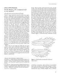 Attēlu rezultāti vaicājumam “Semioscopis avellanella imago”