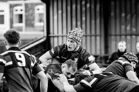 Image result for Hull Rugby Union Football Club