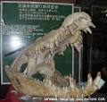 Jong Crocodile Farm and Zoo - First and Largest Captive Breeding ...