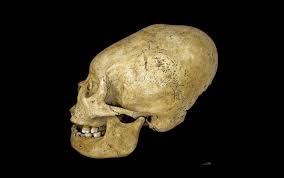Image result for elongated skulls