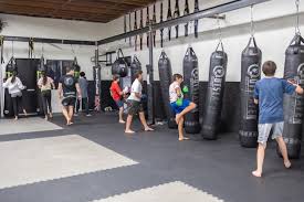 Image result for Valiant Gymnastics Club