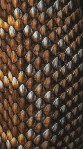 Image result for reptile scales
