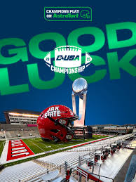 Image result for Astroturf