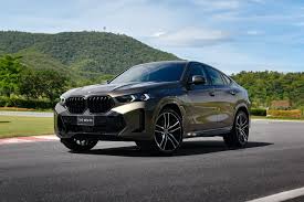 Image result for BMW X6