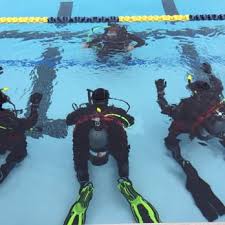 Image result for Breakwater Divers