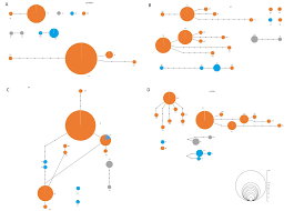 Attēlu rezultāti vaicājumam “Fuligo laevis”