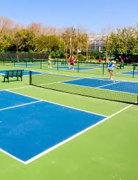 Image result for Motiv8 Pickleball Club