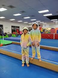 Image result for Acrobrats