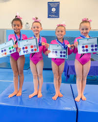 Image result for Diamonds Gymnastics Club