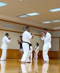 Image result for HEIWA SHOTOKAN KARATE CLUB