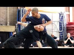 Image result for Shaolin Nam Pai Chuan Kung Fu - Manchester Martial Arts Centre