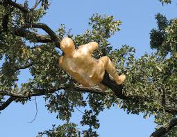 Attēlu rezultāti vaicājumam “exuvia”