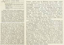 Attēlu rezultāti vaicājumam “Plagiothecium latebricola macro”