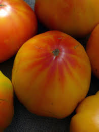 Afbeeldingsresultaat voor blushing yellow tomato