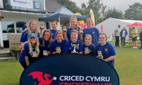 Image result for Carmarthen Wanderers Cricket Club