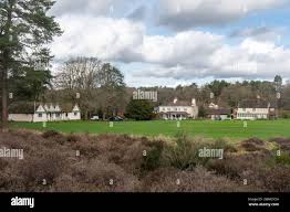 Image result for Blackheath Cricket Club