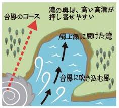 Image result for 高潮 津波 別物