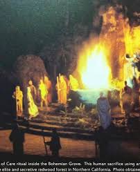 Image result for bohemian club